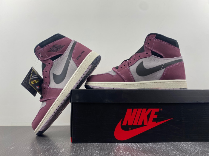 air jordan 1 high element gore-tex berry db2889-500